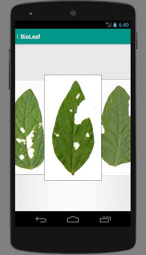 BioLeaf - Análise Foliar screenshot 2