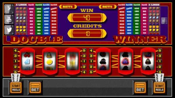 slots - Double Winner screenshot 2