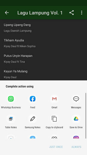 Lagu Lampung MP3 Terbaru (2020) 3 تصوير الشاشة