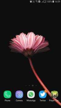 HD Background Flower Wallpaper screenshot 11