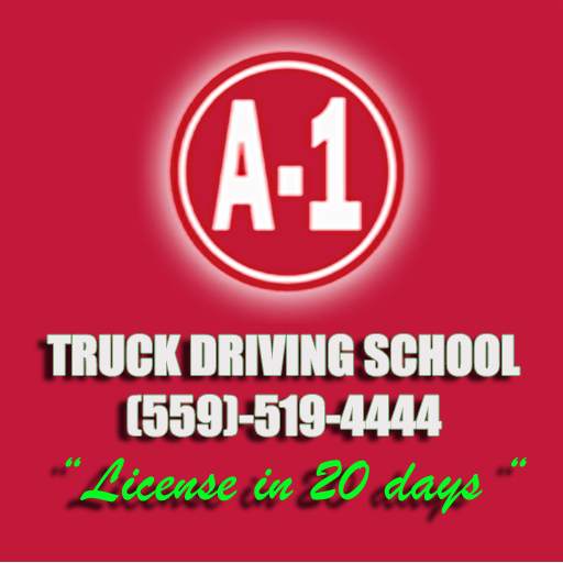 A1-TRUCK DRIVING SCHOOL screenshot 1