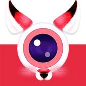 PIP Camera 1.0.2