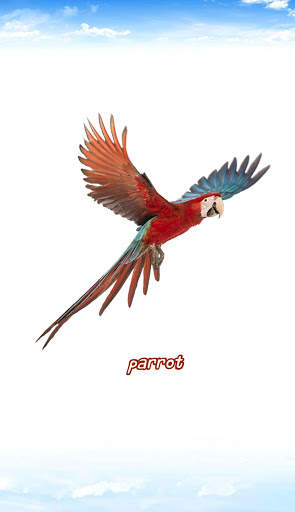 Bird sounds स्क्रीनशॉट 1