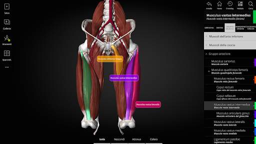 Anatomyka - Anatomia 3D screenshot 10