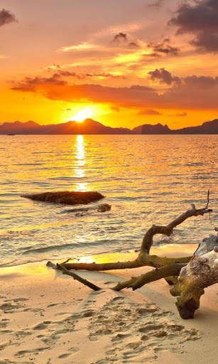 HD Beach Sunset Live Wallpaper screenshot 13