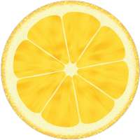 Juicer