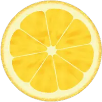 Juicer