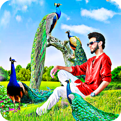 Peacock Photo Editor - Photo Frames icon