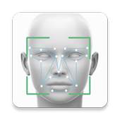Facelyser 1.0.5