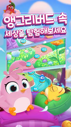 앵그리버드 드림 블라스트: 버블 퍼즐 팝핑 게임 screenshot 4
