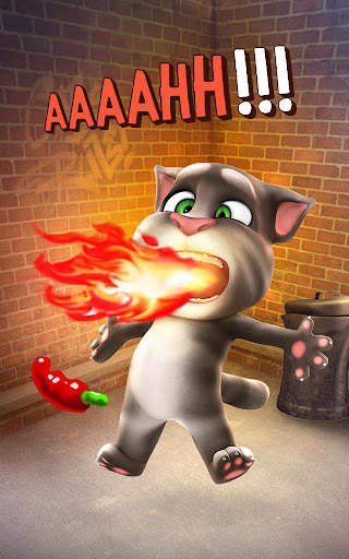 Talking Tom Cat screenshot 4
