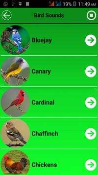 Bird Calls And Ringtones screenshot 3