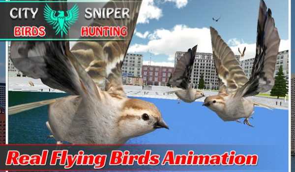 City Sniper Birds Hunting 3D screenshot 4