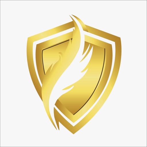 Fynex VPN icon