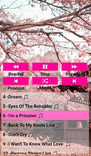 Miley  Cyrus Songs Offline screenshot 4