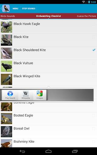 Birds of Prey Sounds Free screenshot 11