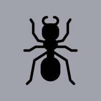 Ant Live Wallpaper