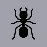 Ant Live Wallpaper