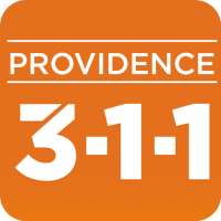 PVD311