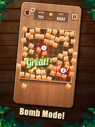 Wooden 100 Block Puzzle screenshot 19