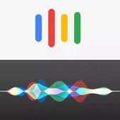 Siri icon