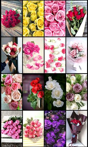 Rose Mobile Wallpapers screenshot 1