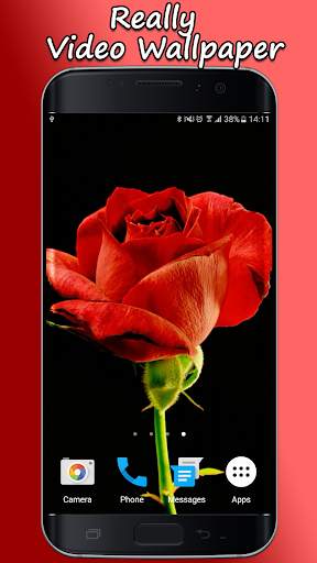 Blooming Roses Video Wallpaper screenshot 1