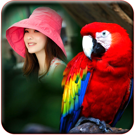 Birds Photo Frames icon