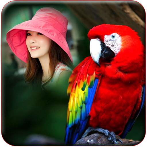 Birds Photo Frames 4 تصوير الشاشة