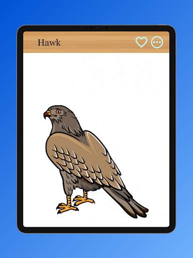 How to Draw Birds of Prey screenshot 13
