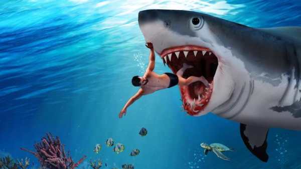 Angry Shark Attack Games скриншот 2