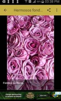 Fondos de flores screenshot 7