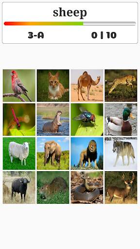 Animal Play скриншот 3