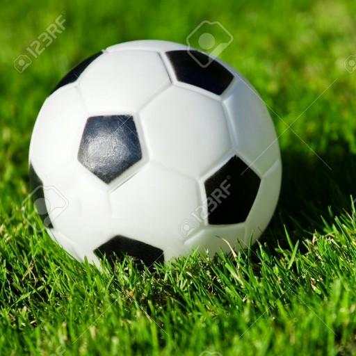 World Sports 1.3