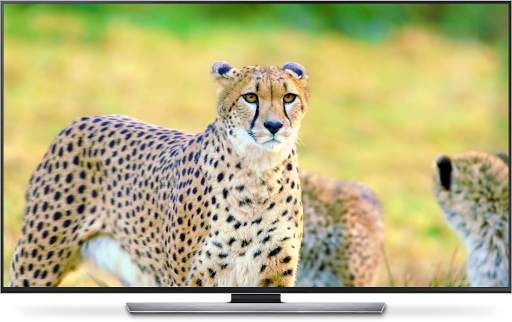 Wild Animals for Chromecast TV screenshot 2