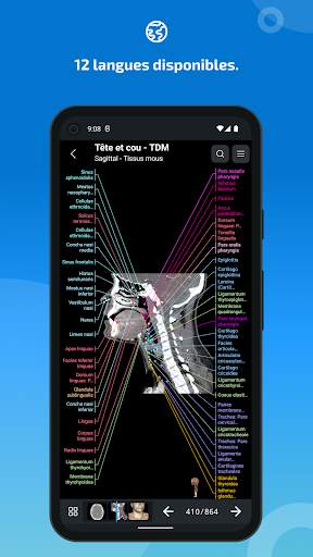 e-Anatomy screenshot 7