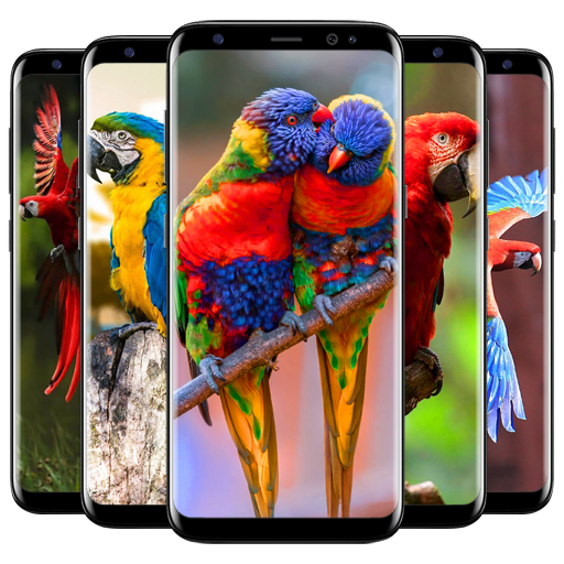 Cute Parrot Wallpaper icon