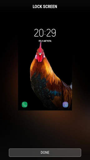 Rooster - RINGTONES and WALLPAPERS screenshot 4