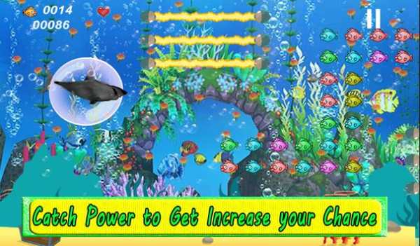 Shark Attack स्क्रीनशॉट 5