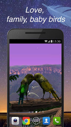 PRO Parrots 3D Live Wallpaper Love Birds screenshot 1