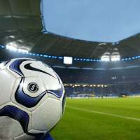Pro-Training Games