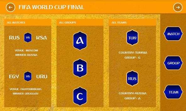 FIFA World Cup Final screenshot 1