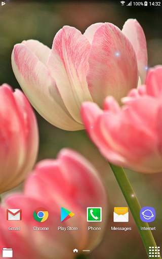 Beautiful Spring Flowers Live Wallpaper screenshot 8
