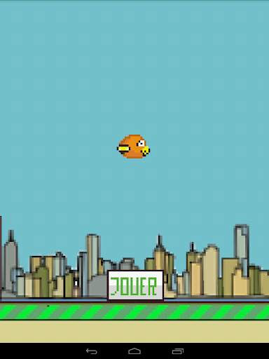Jeu d' oiseau screenshot 5