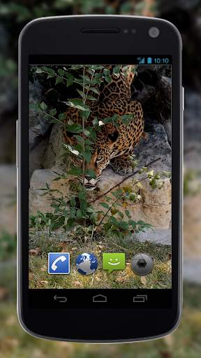 4K Jaguar Live Wallpaper screenshot 2