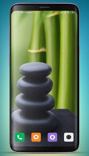 Bamboo Wallpaper HD screenshot 15