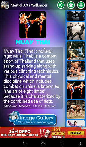 Martial Arts Wallpaper screenshot 12