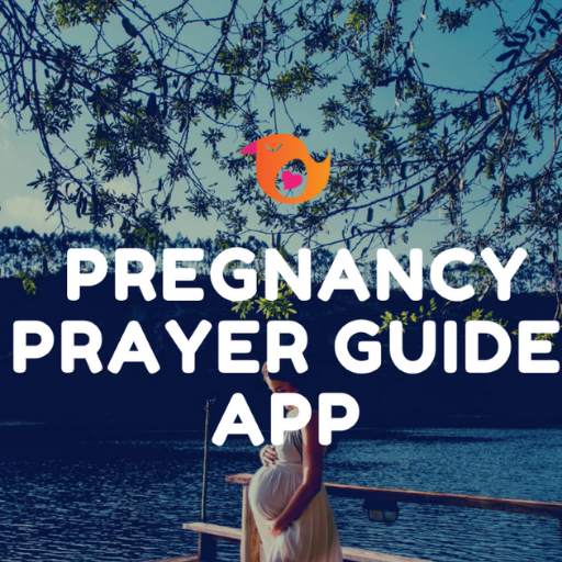 Pregnancy Prayer Guide App 1.0