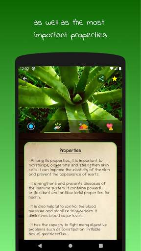 myRemedy: Medicinal plants and their uses screenshot 5