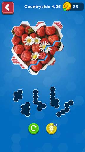 Hexa Puzzle Jigsaw: Anime Collection screenshot 1